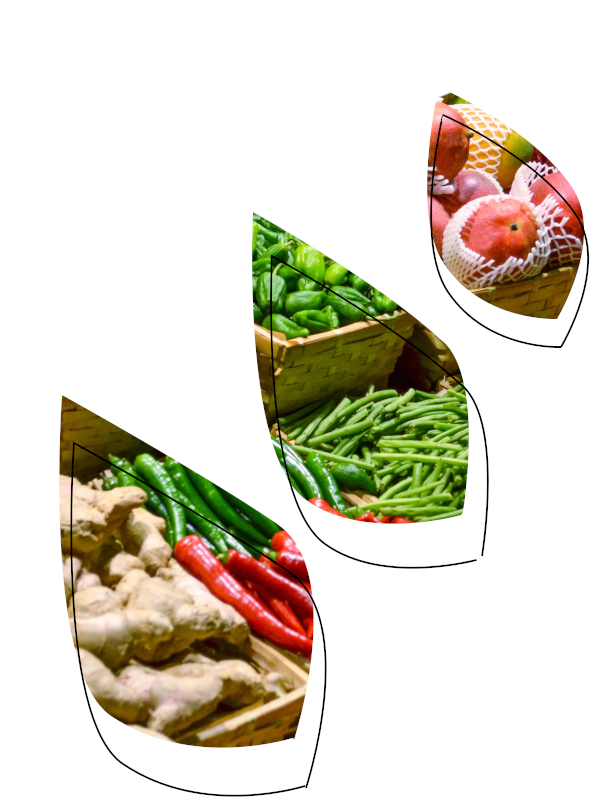 IMG-BANNER